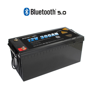 12V 300Ah Lithium Bluetooth Battery BL12300